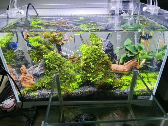 鱼缸装饰假山