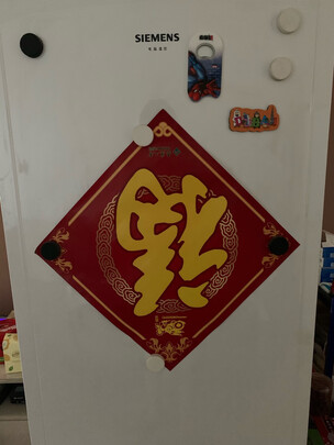 冰箱|西门子KA92NV02TI冰箱如何,值得入手的原因分享！