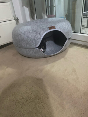 猫窝