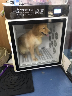 宠物浴液
