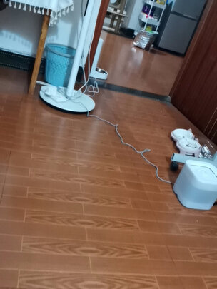 猫碗狗碗