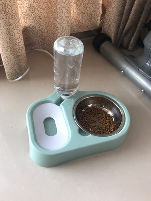 猫碗狗碗