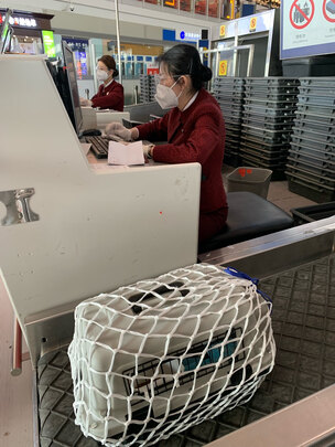 宠物航空箱