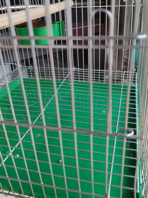 鸟笼