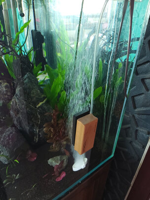 鱼缸氧气泵