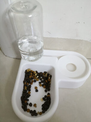 猫碗狗碗