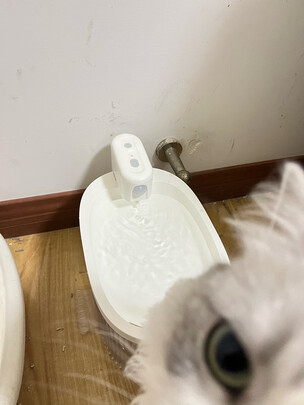 宠物饮水机