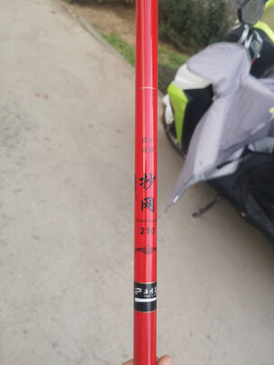 抄网杆