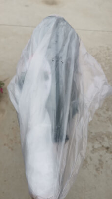 车用掸子