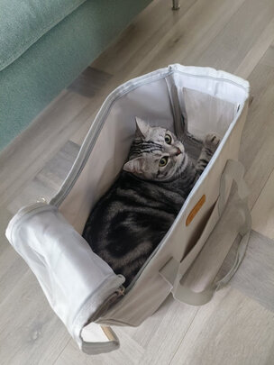 猫包