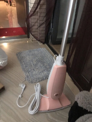 法格VCB-396R蒸汽拖把|法格VCB-396R蒸汽拖把怎么样？内幕使用评测揭秘