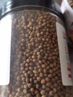 鱼粮
