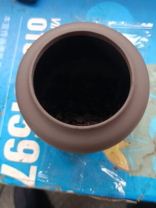 普洱茶