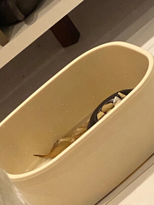 乌龟缸
