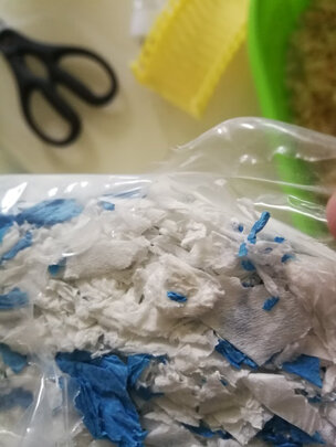 仓鼠木屑