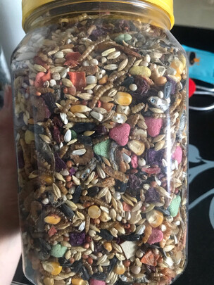 仓鼠粮食