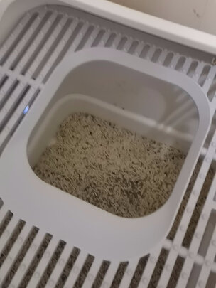 猫砂