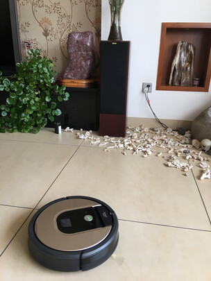 新手必看:iRobotRoomba 961怎么样究竟垃不垃圾？,受欢迎原因?