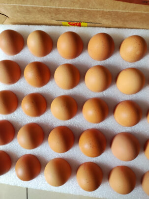 CP正大鲜鸡蛋30枚1.59kg早餐优质蛋白简装好不好？ - 淘实惠