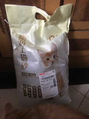 膨润土猫砂