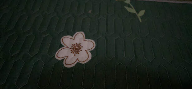 南极人床垫怎么样？评测这么好应该不会很烂吧?