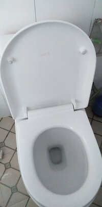 马桶盖