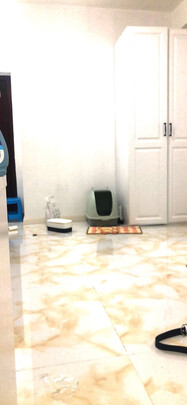 豆腐猫砂
