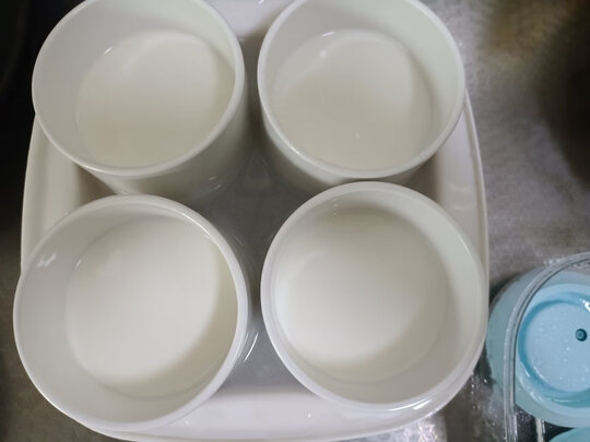 酸奶机/冰淇淋机
