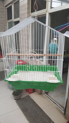 鸟笼