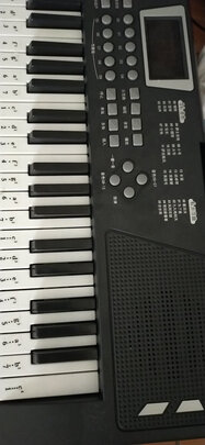 乐器电子琴