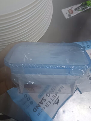 仓鼠浴沙