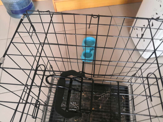  猫笼