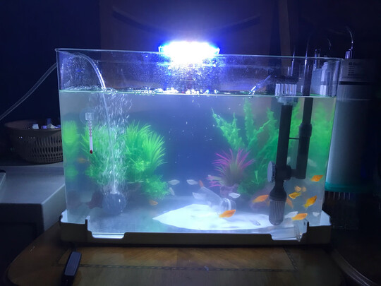 鱼缸水泵