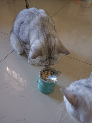猫冻干