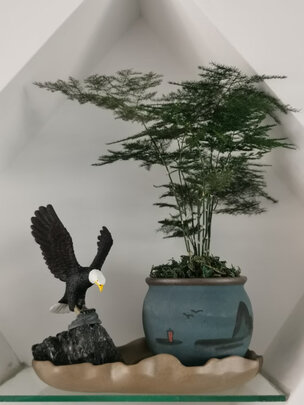 玻璃水