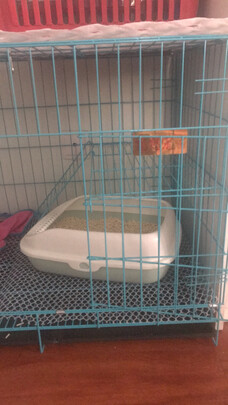  猫笼