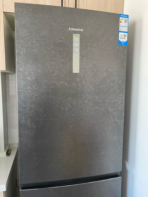 澳柯玛BCD-206NE冰箱用后两个月感受!新手求助内行解答
