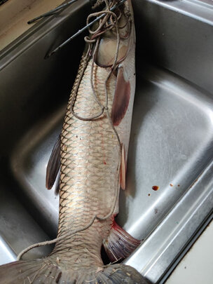 三,北溟鱼矶竿网友对比评测