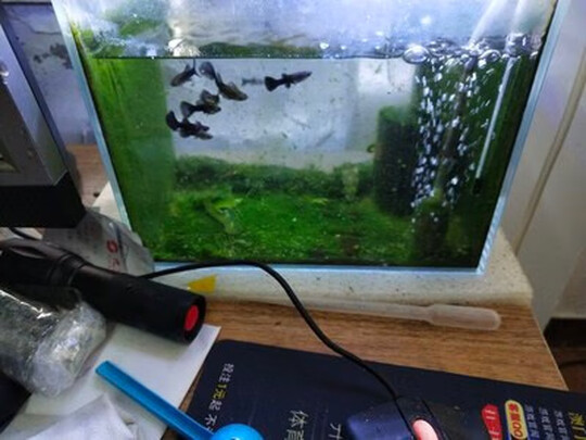 鱼缸刮藻刀