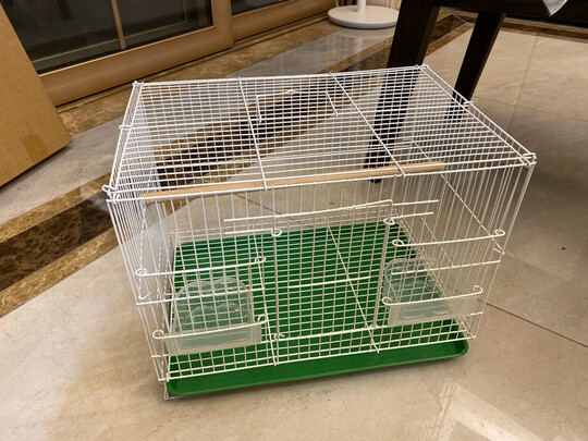 鸟笼