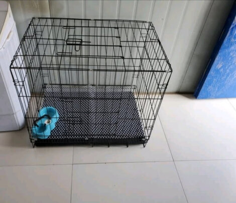  狗笼