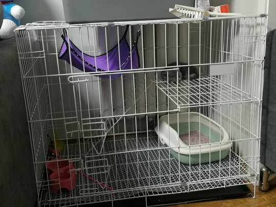  猫笼