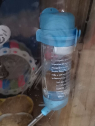 仓鼠水壶