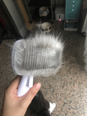 猫狗梳子
