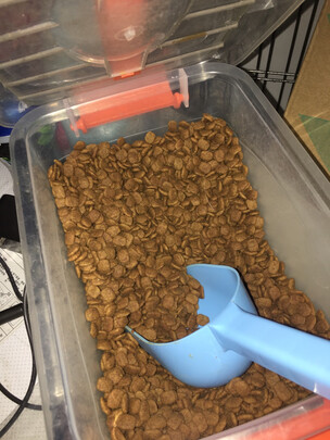 狗粮