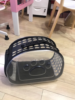 宠物包
