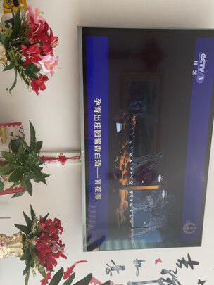%title插图%num 小米电视 E43S 43英寸 金属全面屏 4K HDR超高清 2GB+32GB 蓝牙语音遥控 内置小爱智能网络教育电视L43M5-ES
