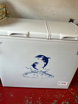 冰柜|澳柯玛BCD-203CNE冰柜怎么样？亲身体验告知你实情！