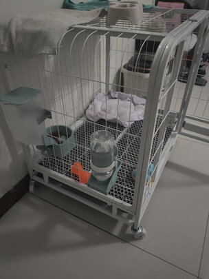  狗笼