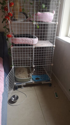 豆腐猫砂